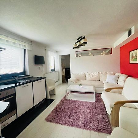 Apartmany Pod Troma Korunami Červený Kláštor Eksteriør billede