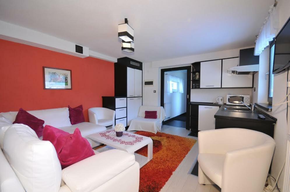Apartmany Pod Troma Korunami Červený Kláštor Eksteriør billede